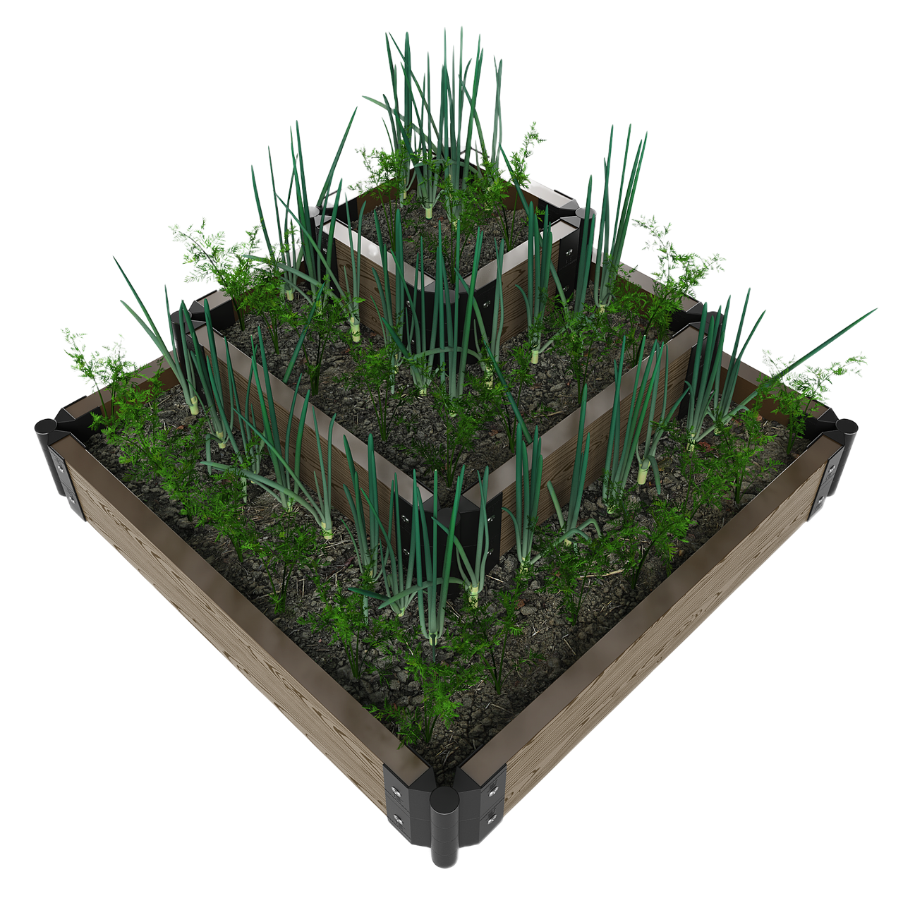 дача грядки